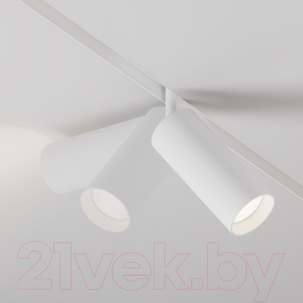 Изображение товара Трековый светильник Maytoni Focus Led TR032-4-20WTW-S-DD-W