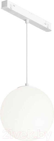 Изображение товара Трековый светильник Maytoni Luna TR039-4-5WTW-DD-W