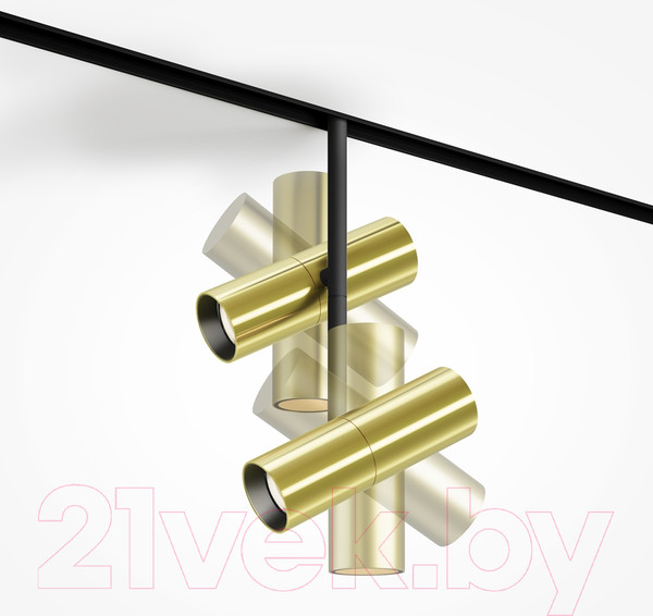 Изображение товара Трековый светильник Maytoni Elti Duo TR005-2-2X12W3K-BBS