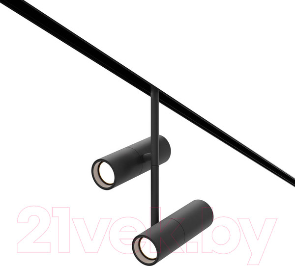 Изображение товара Трековый светильник Maytoni Elti Duo TR005-4-2X12W-DS-B