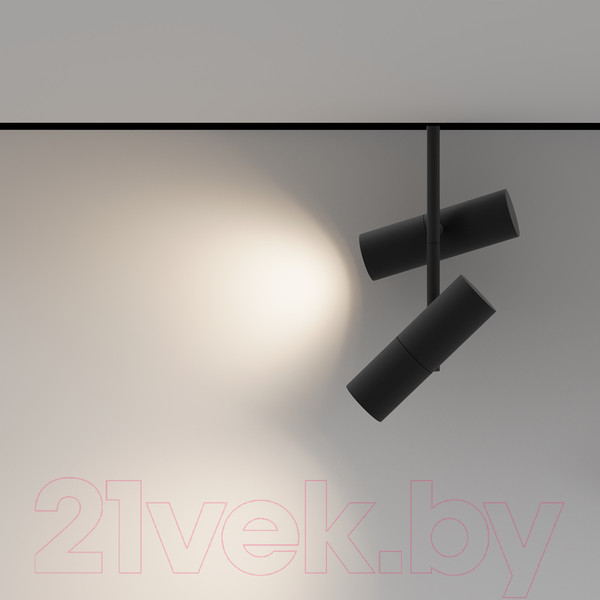 Изображение товара Трековый светильник Maytoni Elti Duo TR005-4-2X12W-DS-B