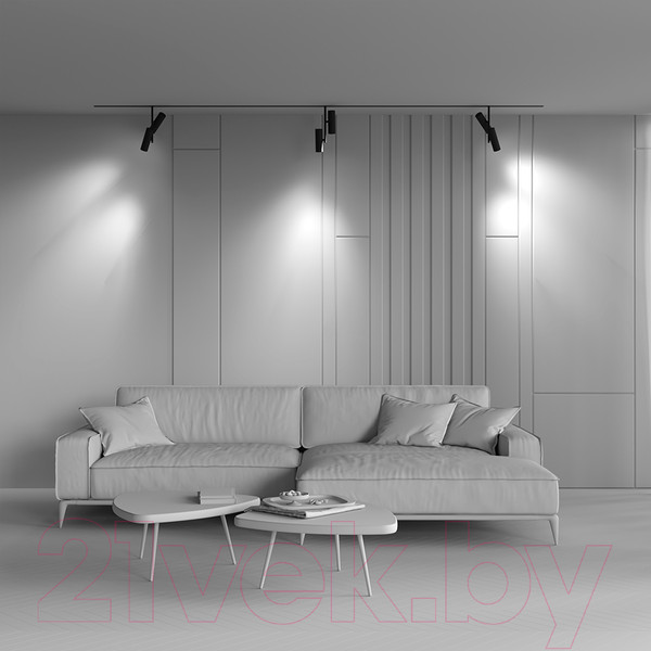 Изображение товара Трековый светильник Maytoni Elti Duo TR005-4-2X12W-DS-B