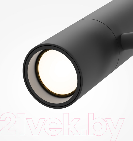 Изображение товара Трековый светильник Maytoni Elti Duo TR005-4-2X12W-DS-B