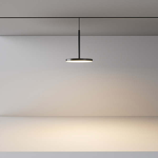 Изображение товара Трековый светильник Maytoni Plato TR123-2-15W3K-B