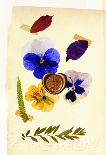 Изображение товара Книга АСТ Дом, который дарит тепло: твой калейдоскоп счастья (Курилюк Л.)