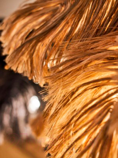 Изображение товара Торшер Bergenson Bjorn Palm Beams / BB0000571