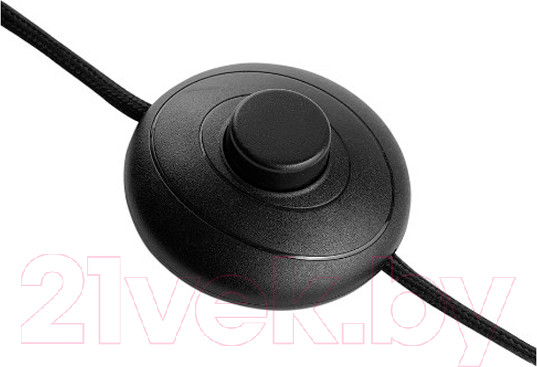 Изображение товара Торшер Bergenson Bjorn Palm Beams / BB0000571