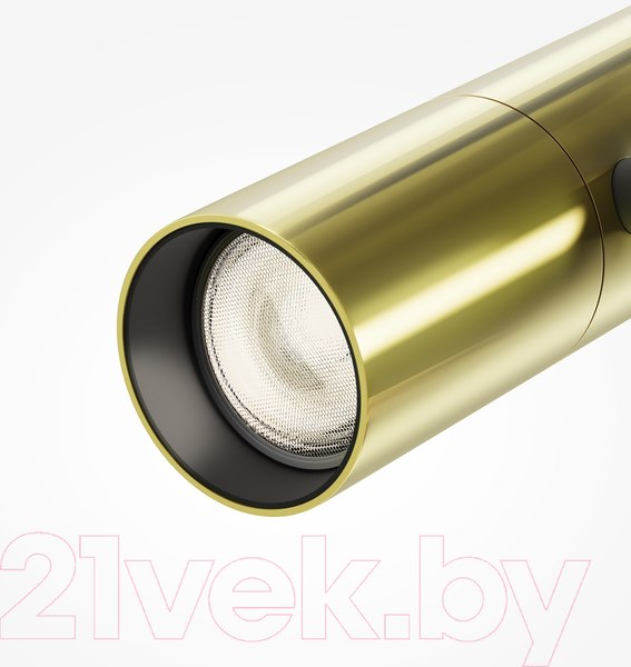 Изображение товара Трековый светильник Maytoni Elti Duo TR005-4-2X12W-DS-BBS