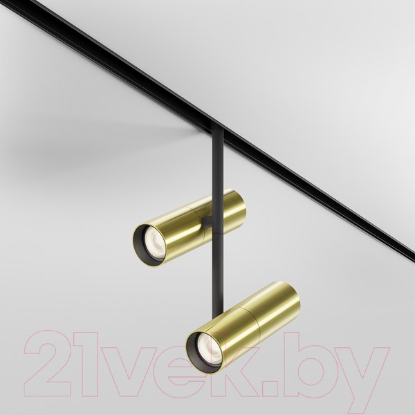 Изображение товара Трековый светильник Maytoni Elti Duo TR005-4-2X12W-DS-BBS
