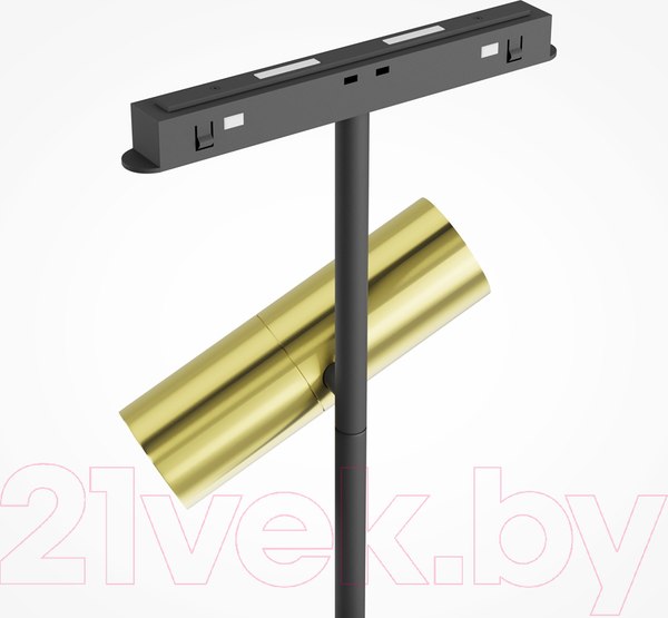 Изображение товара Трековый светильник Maytoni Elti Duo TR005-4-2X12W-DS-BBS