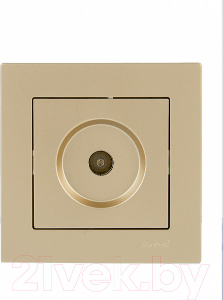 Изображение товара Розетка Lezard Vesna 742-3688-129