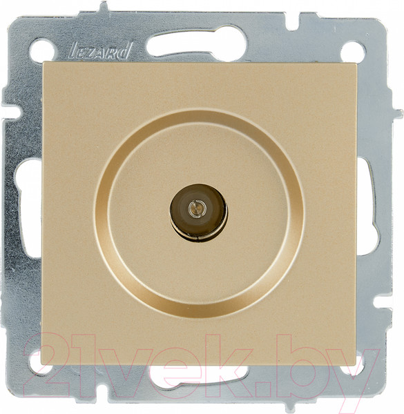 Изображение товара Розетка Lezard Vesna 742-3688-129