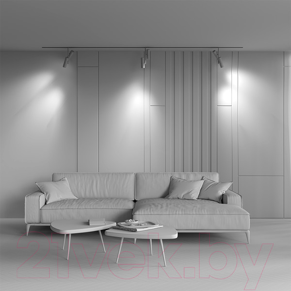 Изображение товара Трековый светильник Maytoni Elti Duo TR005-4-2X12W-DS-BW