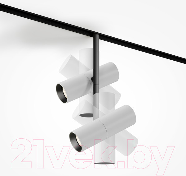 Изображение товара Трековый светильник Maytoni Elti Duo TR005-4-2X12W-DS-BW