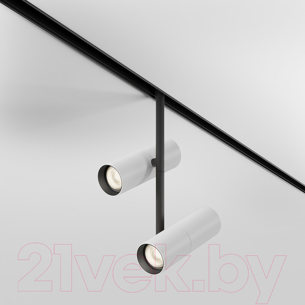 Изображение товара Трековый светильник Maytoni Elti Duo TR005-4-2X12W-DS-BW