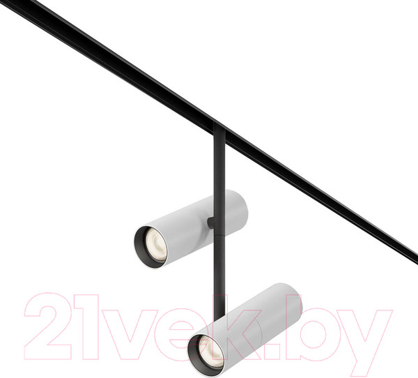 Изображение товара Трековый светильник Maytoni Elti Duo TR005-4-2X12W-DS-BW