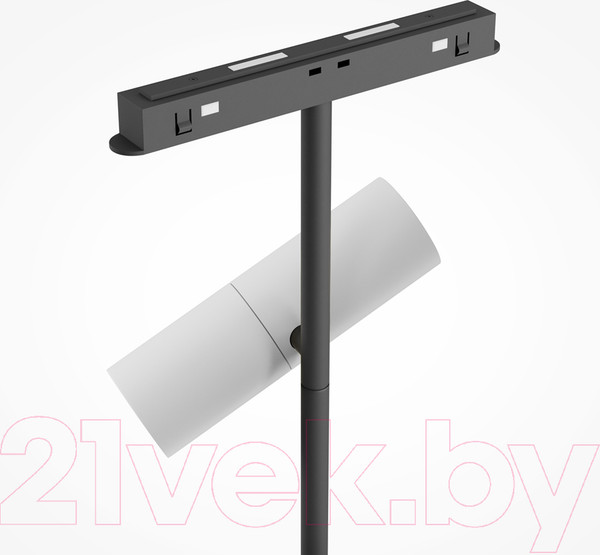 Изображение товара Трековый светильник Maytoni Elti Duo TR005-4-2X12W-DS-BW
