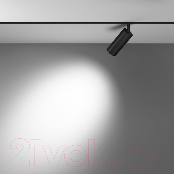 Изображение товара Трековый светильник Maytoni Focus Led TR032-4-12WTW-S-DD-B