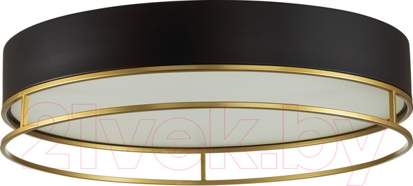 Изображение товара Потолочный светильник Sonex Lofty 7723/100L