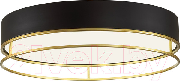 Изображение товара Потолочный светильник Sonex Lofty 7723/100L