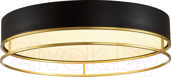 Изображение товара Потолочный светильник Sonex Lofty 7723/100L