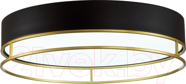 Изображение товара Потолочный светильник Sonex Lofty 7723/100L