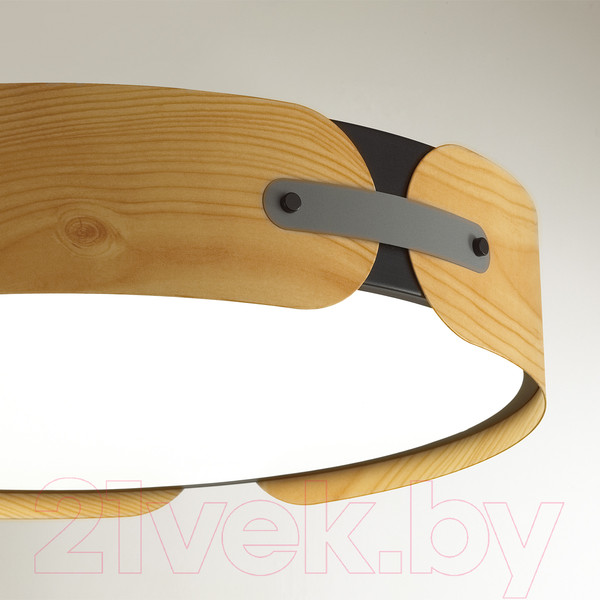 Изображение товара Потолочный светильник Sonex Coraggio 7721/100L