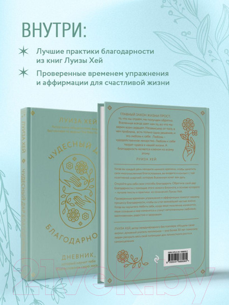 Изображение товара Книга Эксмо Чудесный дар благодарности / 9785041888060 (Хей Л.)