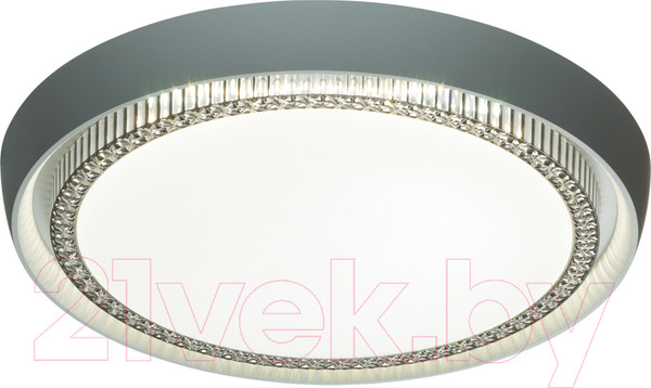 Изображение товара Потолочный светильник Sonex Rahig 7644/EL