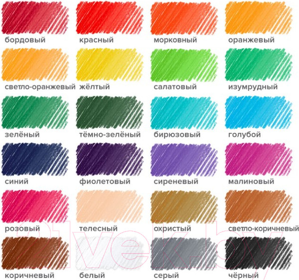 Изображение товара Набор цветных карандашей Brauberg 181858 (24цв)