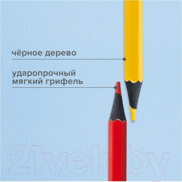 Изображение товара Набор цветных карандашей Brauberg 181858 (24цв)