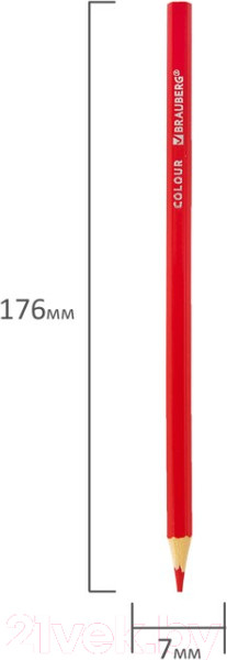 Изображение товара Набор цветных карандашей Brauberg Академия / 181867 (36цв)