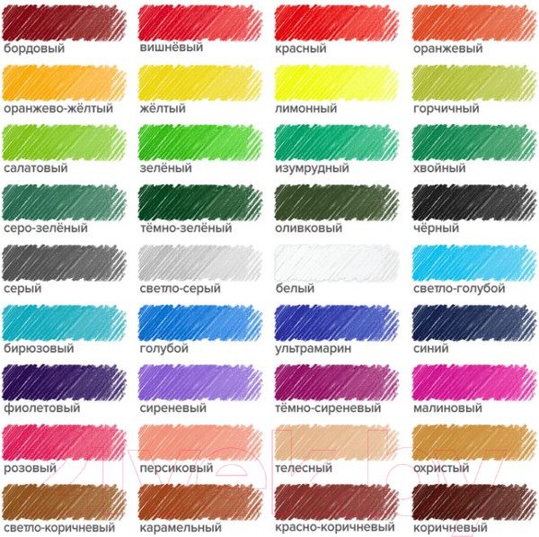 Изображение товара Набор цветных карандашей Brauberg Академия / 181867 (36цв)