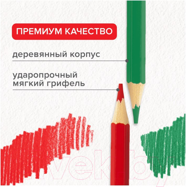 Изображение товара Набор цветных карандашей Brauberg Академия / 181867 (36цв)