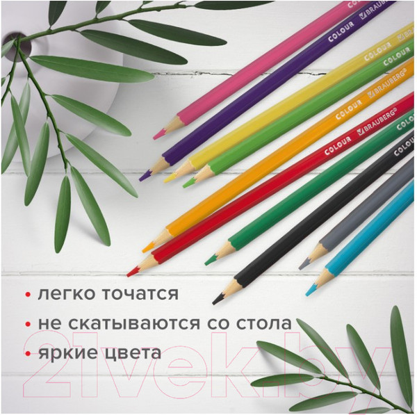 Изображение товара Набор цветных карандашей Brauberg Академия / 181867 (36цв)