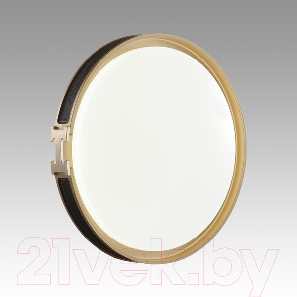 Изображение товара Потолочный светильник Sonex Favemo Black 7667/EL