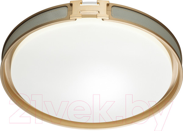 Изображение товара Потолочный светильник Sonex Favemo Grey 7654/EL