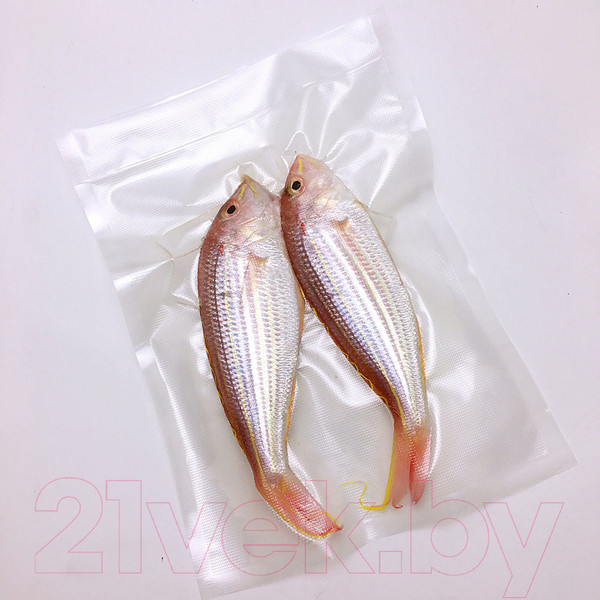 Изображение товара Вакуумный упаковщик Caso GourmetVac 180