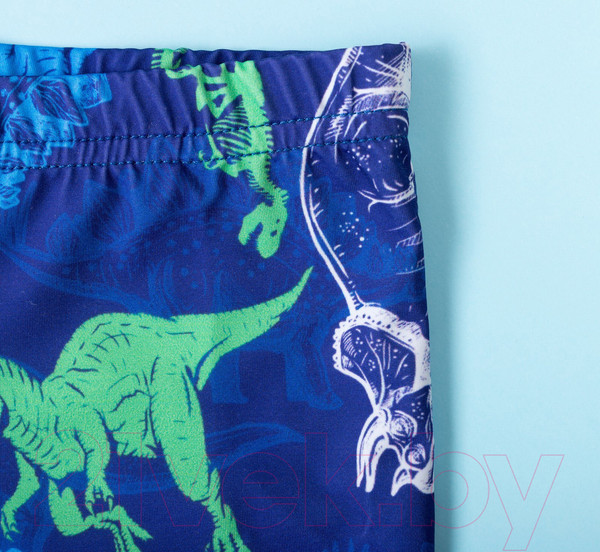 Изображение товара Плавки детские Kaftan Динозавры / 4131147 (р.98-104, синий)