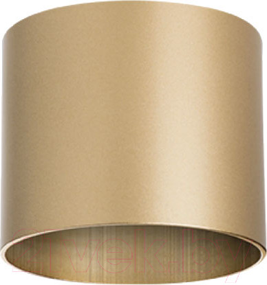 Изображение товара Точечный светильник Lightstar Rullo 213490