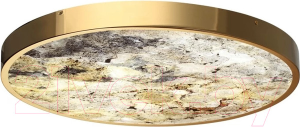 Изображение товара Потолочный светильник Odeon Light Bergi 5079/50L