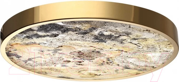 Изображение товара Потолочный светильник Odeon Light Bergi 5079/40L