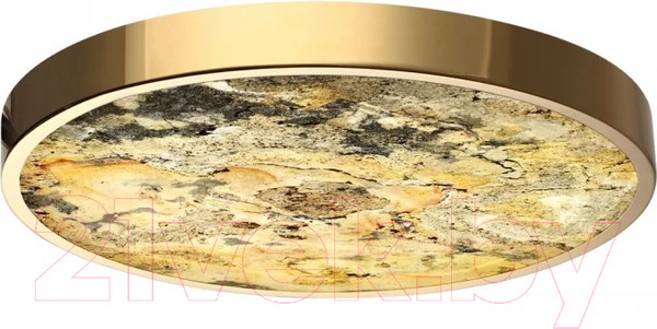 Изображение товара Потолочный светильник Odeon Light Bergi 5079/40L