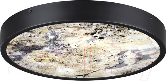 Изображение товара Светильник Odeon Light Bergi 5064/24L