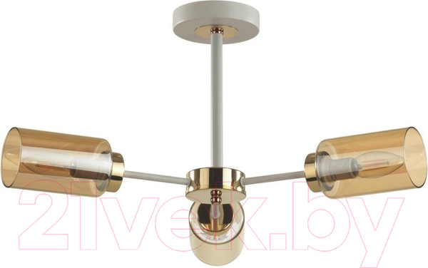 Изображение товара Люстра Lumion Dallin 5639/3C