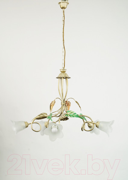 Изображение товара Люстра TK Lighting TKC2495