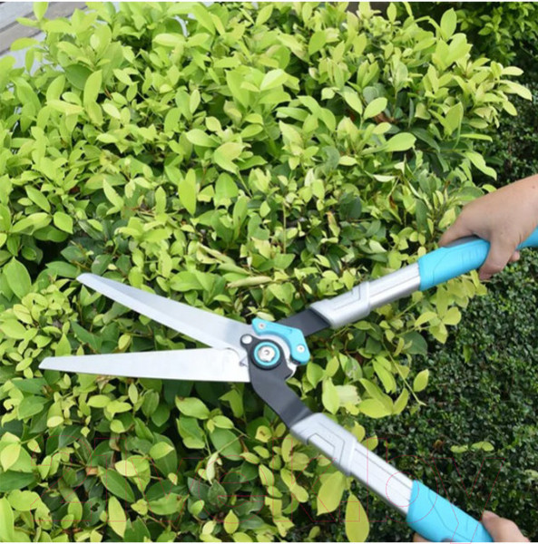 Изображение товара Кусторез механический Cyrus TS-2266B