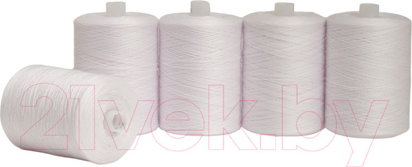 Изображение товара Набор швейных ниток Красная нить 45ЛЛ  (2500м, белый-5)