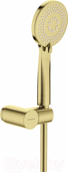 Изображение товара Душевой гарнитур Deante Arnika Gold BR NQA_R41K