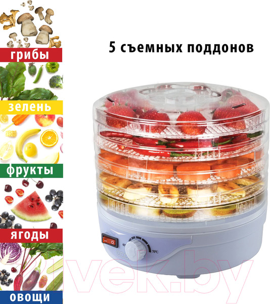 Изображение товара Сушилка для овощей и фруктов Econ ECO-3010FD